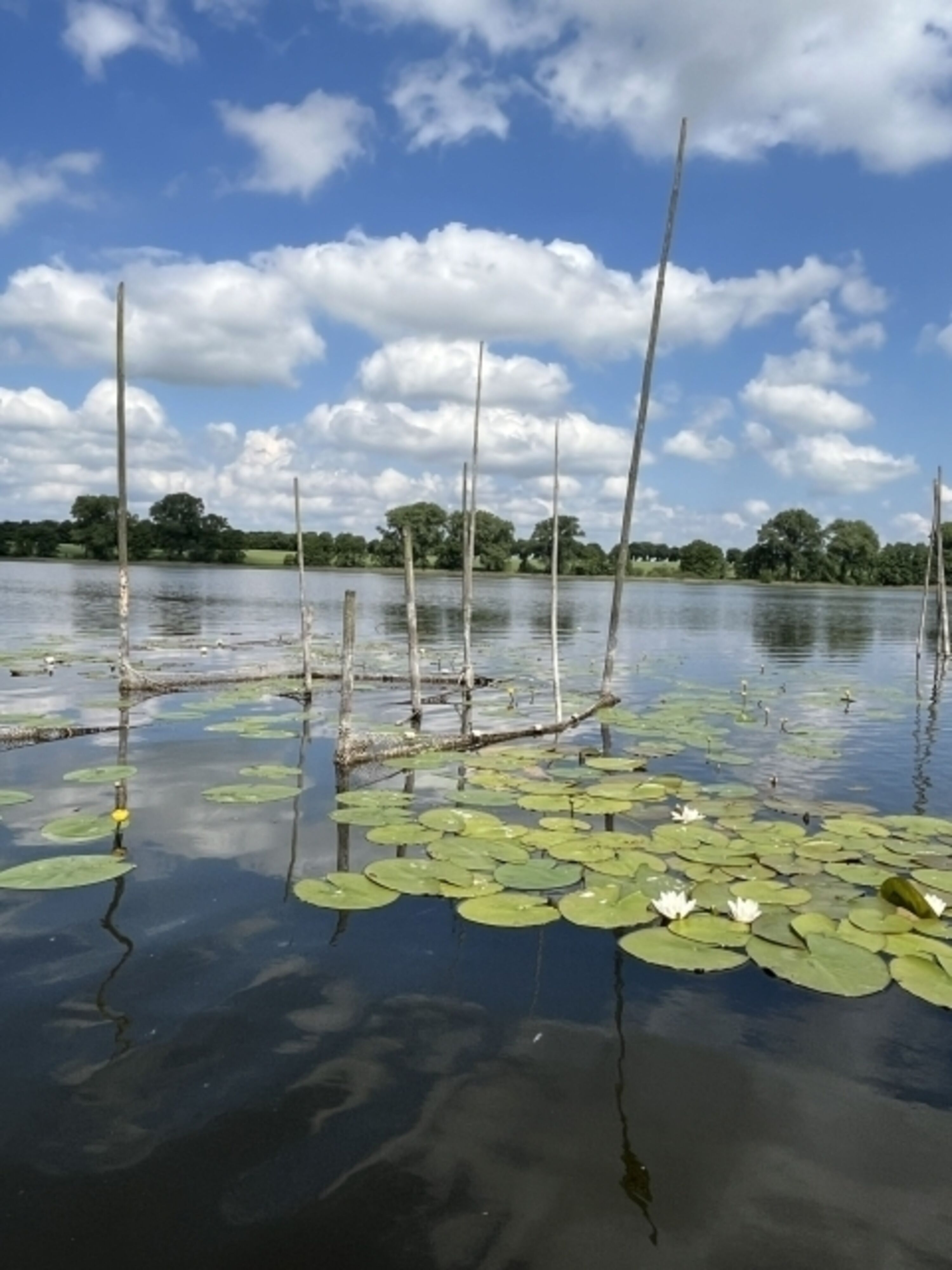 Rothener See