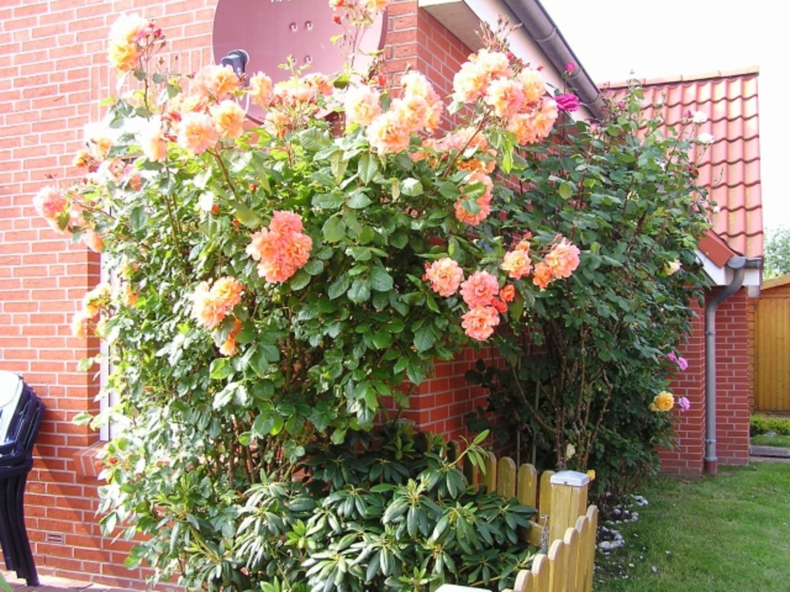 Bild 11