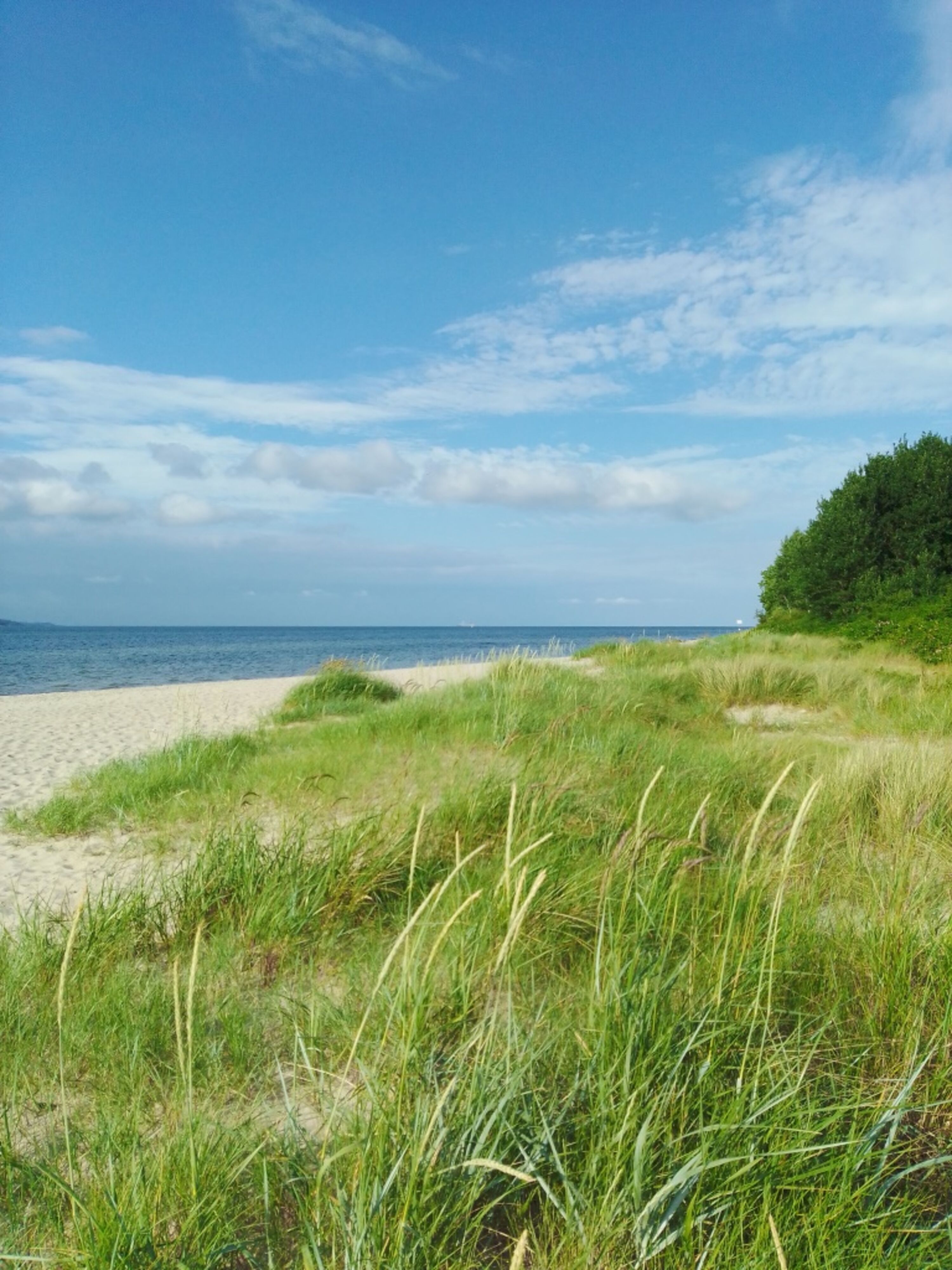 Bild 16