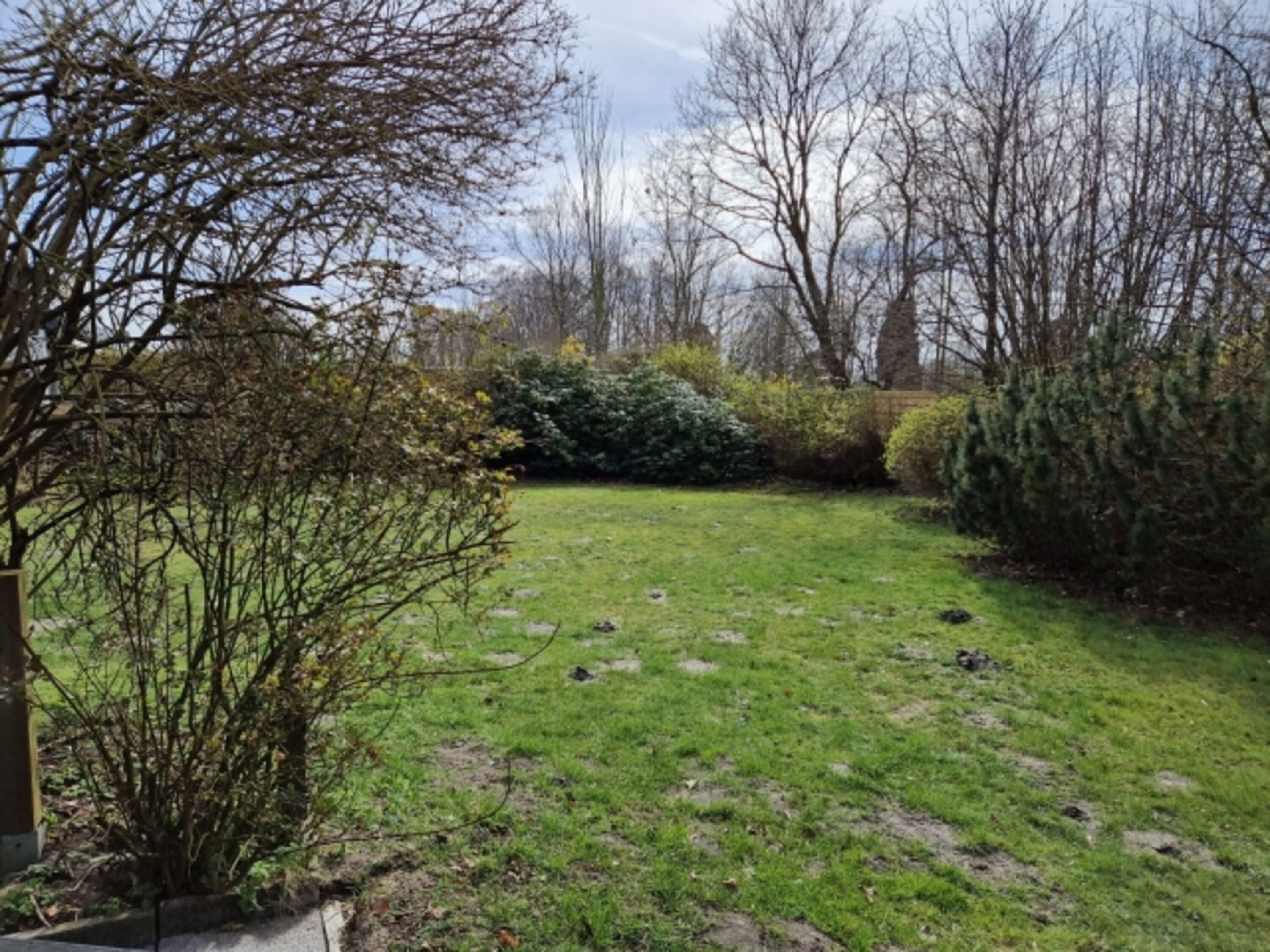 Bild 15