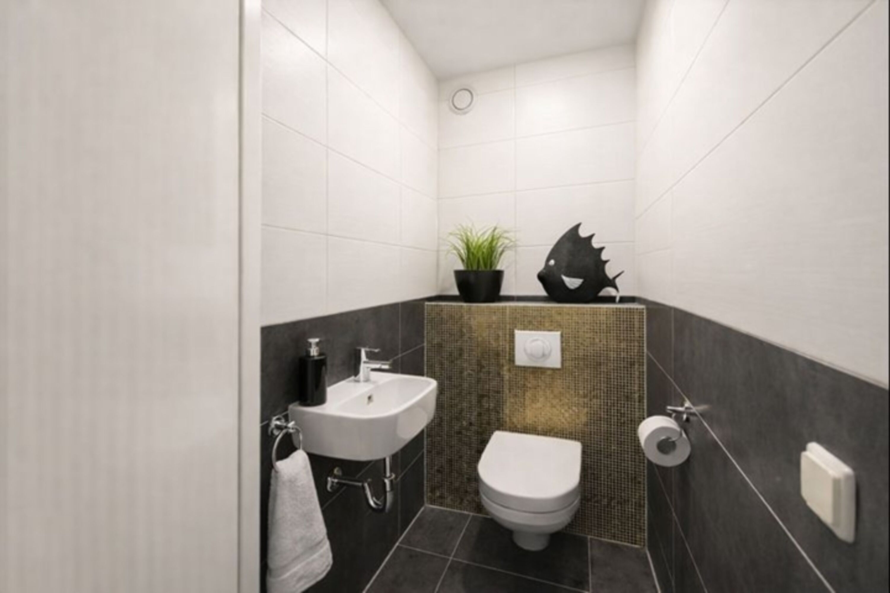 separates WC