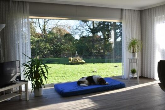 Ein beliebter Ruheort für unsere vierbeinigen Gäste