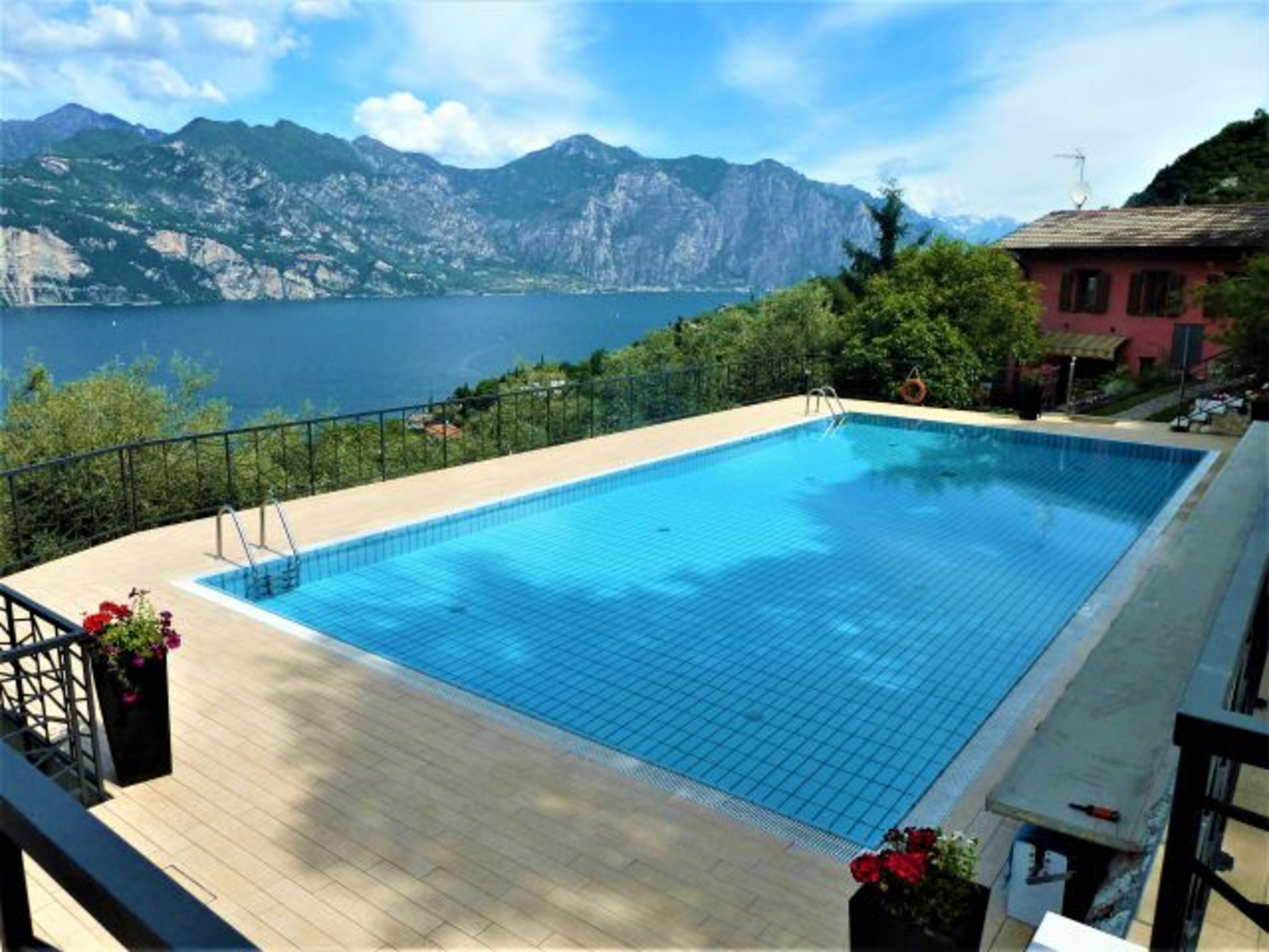 Swimmimg Pool 