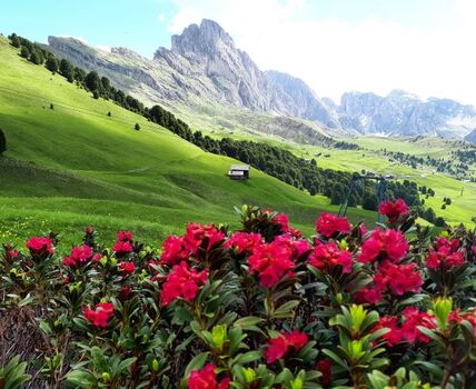 Die Dolomiten und Ihre Farbenpracht