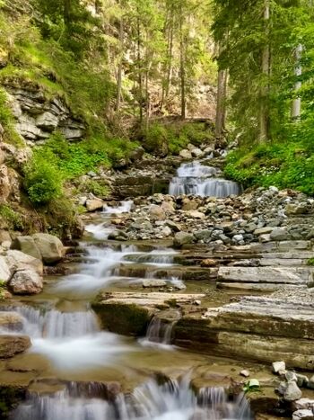 Badespaß beim Gassi gehen