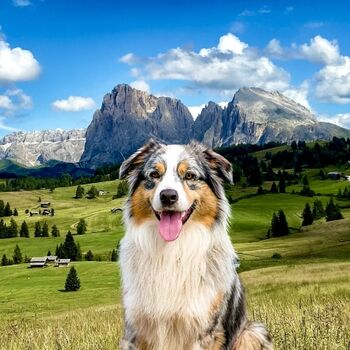 Südtirol:  Bergblick-Fewo im EG direkter Gartenzugang – R ...