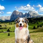 Südtirol:  Bergblick-Fewo im EG direkter Gartenzugang – R ...