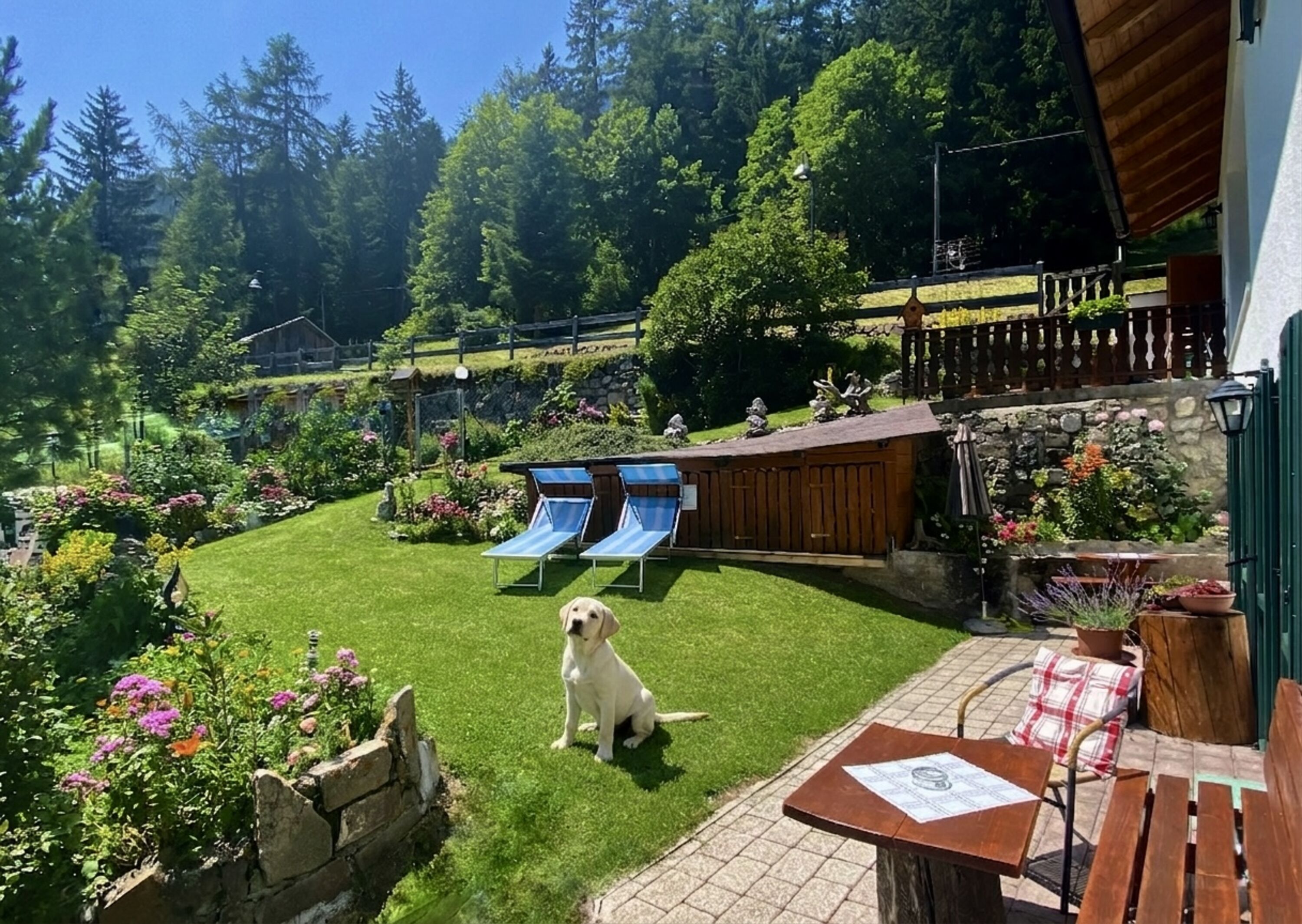 Gemütlicher Garten