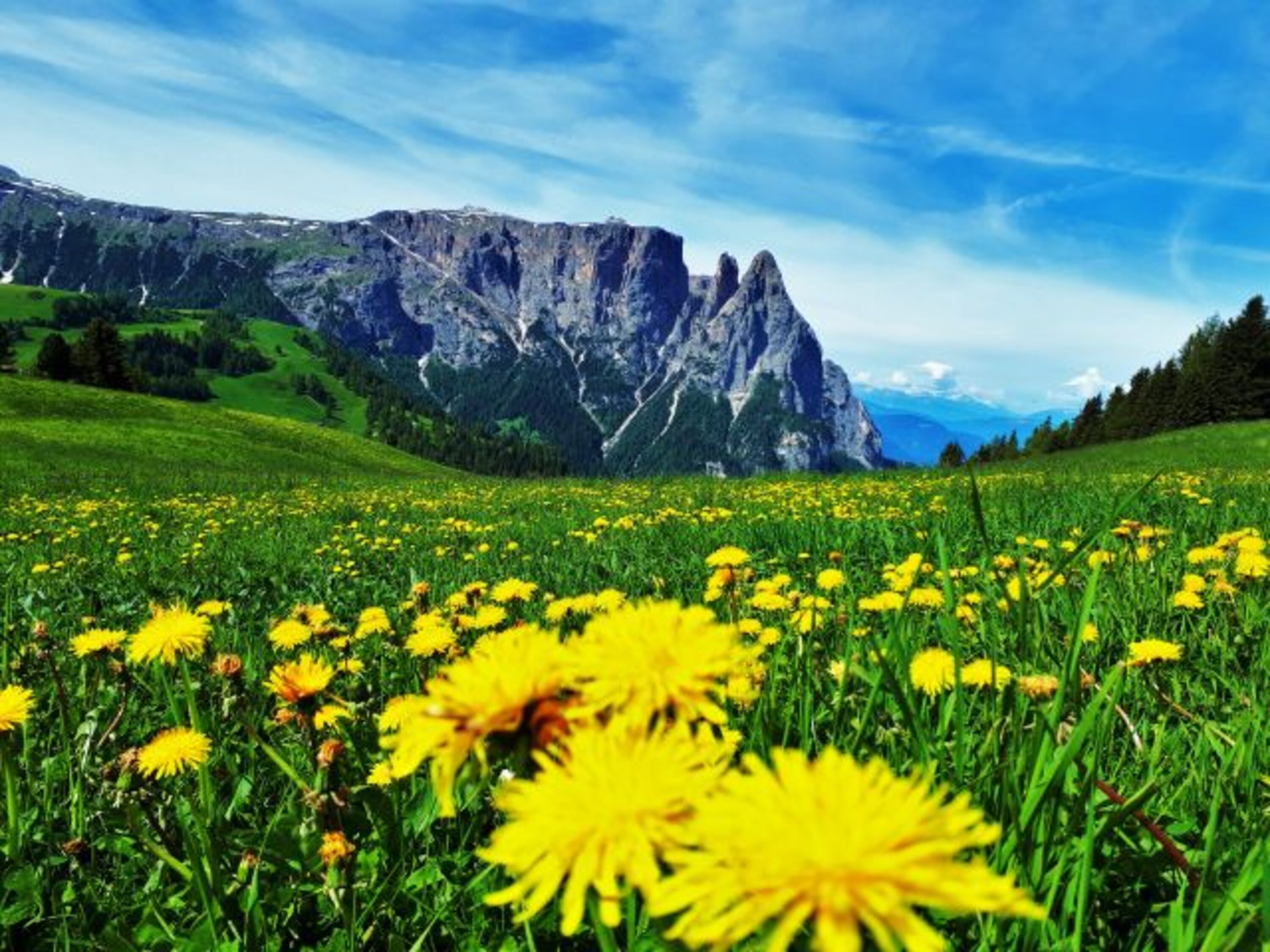 Frühling auf der Seiser Alm