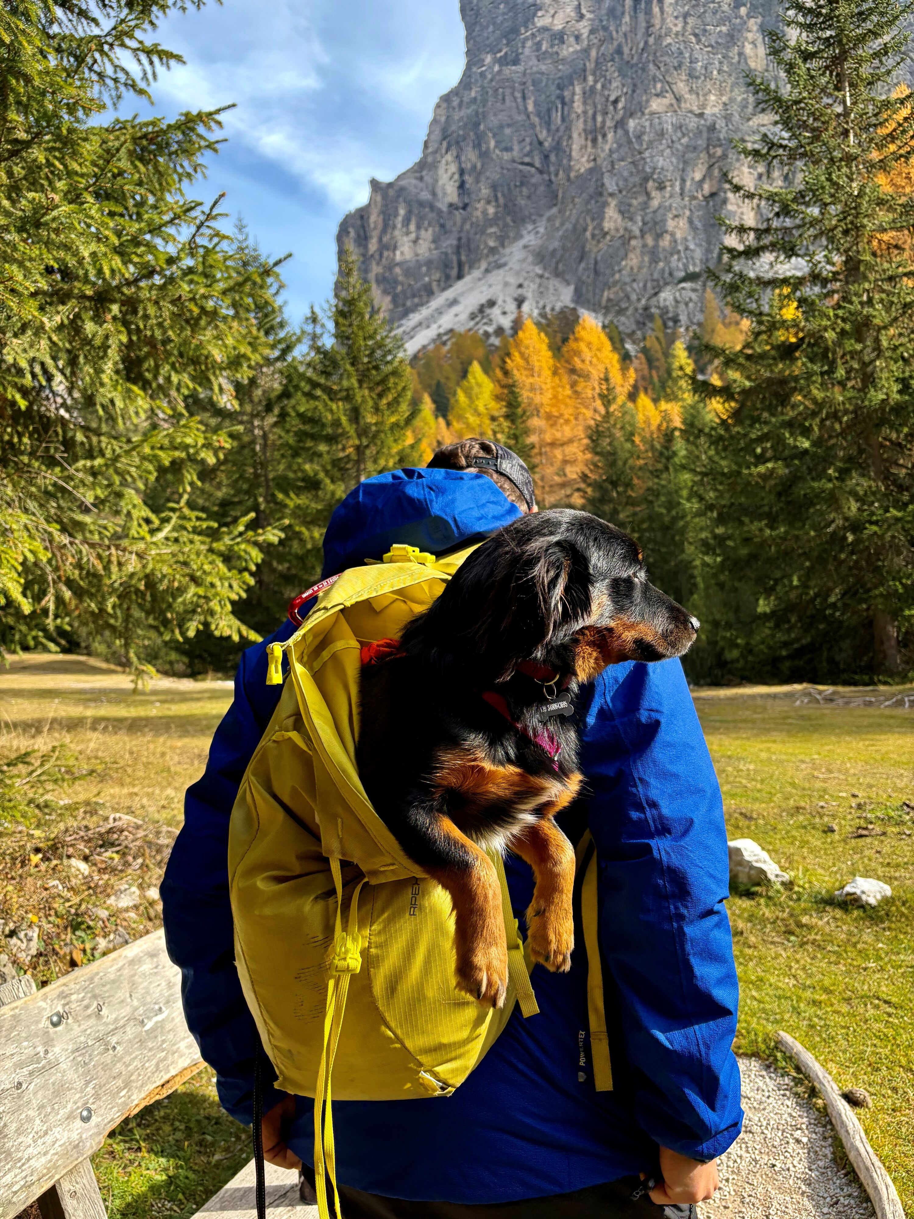 Herbstwandern