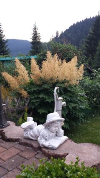 Blick von der Terasse