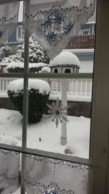 Winter, Ausblick vom Essbereich in den Vorgarten
