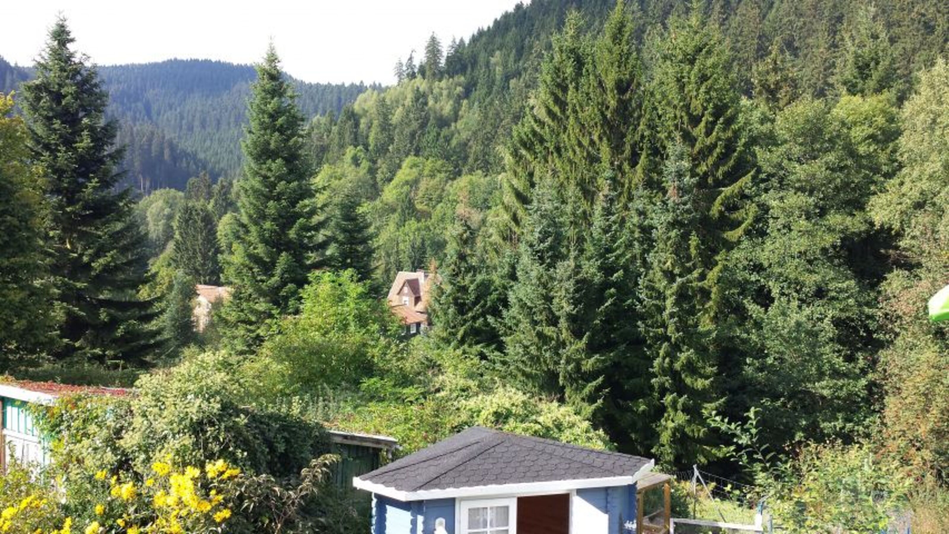 Blick vom Balkon