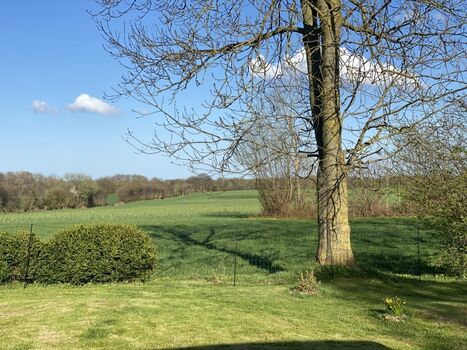 Traumblick in die Wiesen und Felder 