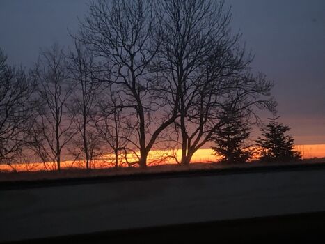 ein toller Tag beginnt