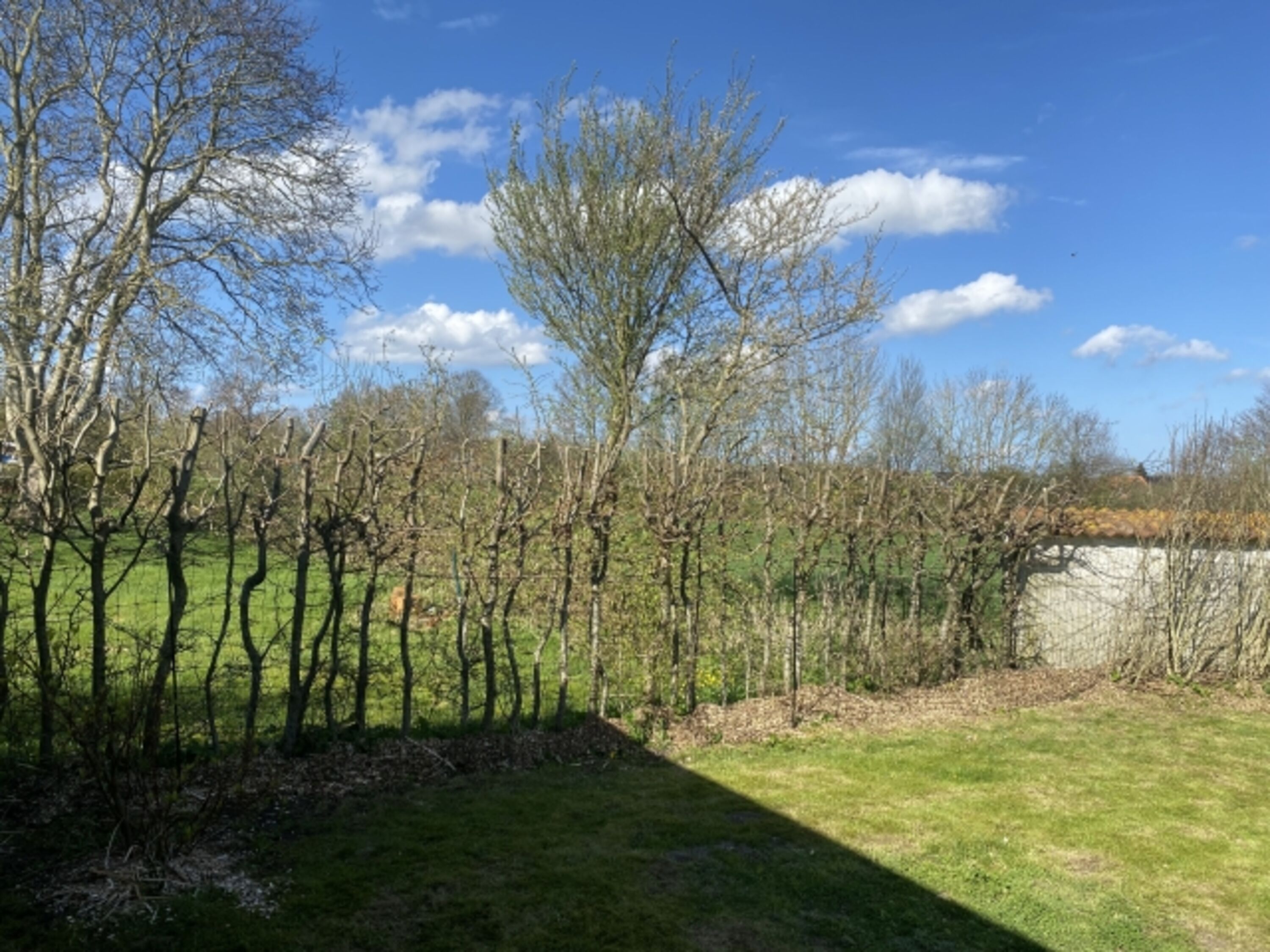 Gartenbereich