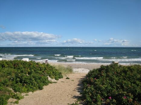 Strand - für die schönsten Wochen des Jahres