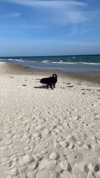 Strand bei Pottloch