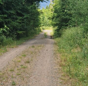 Wunderschöne Rad - und Wanderwege