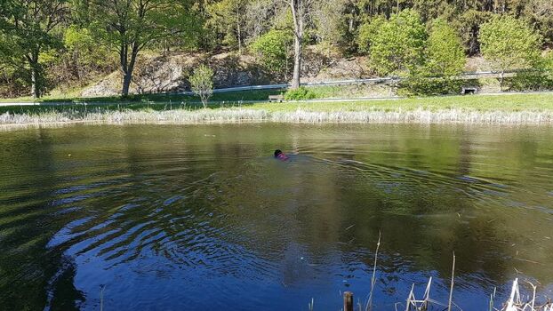 Badestelle nur wenige Minuten entfernt.