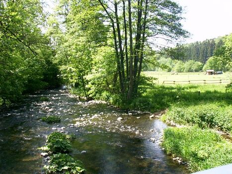 50 m bis zum Fluss große Nister