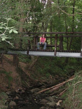 Neue Brücke mit Bank über unserem Bach