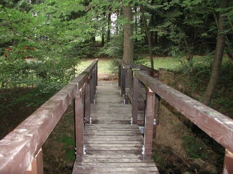 Über die Brücke und direkt ab in den Wald
