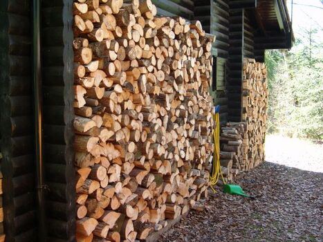 Immer Holz vor der Hütte