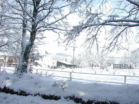 Blick nach vorne Wintermärchen