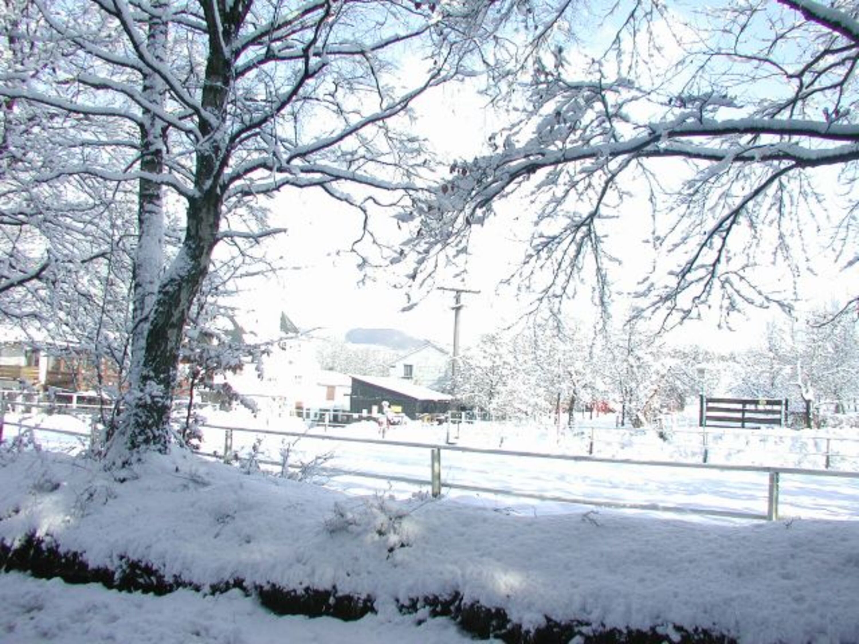 Blick nach vorne Wintermärchen