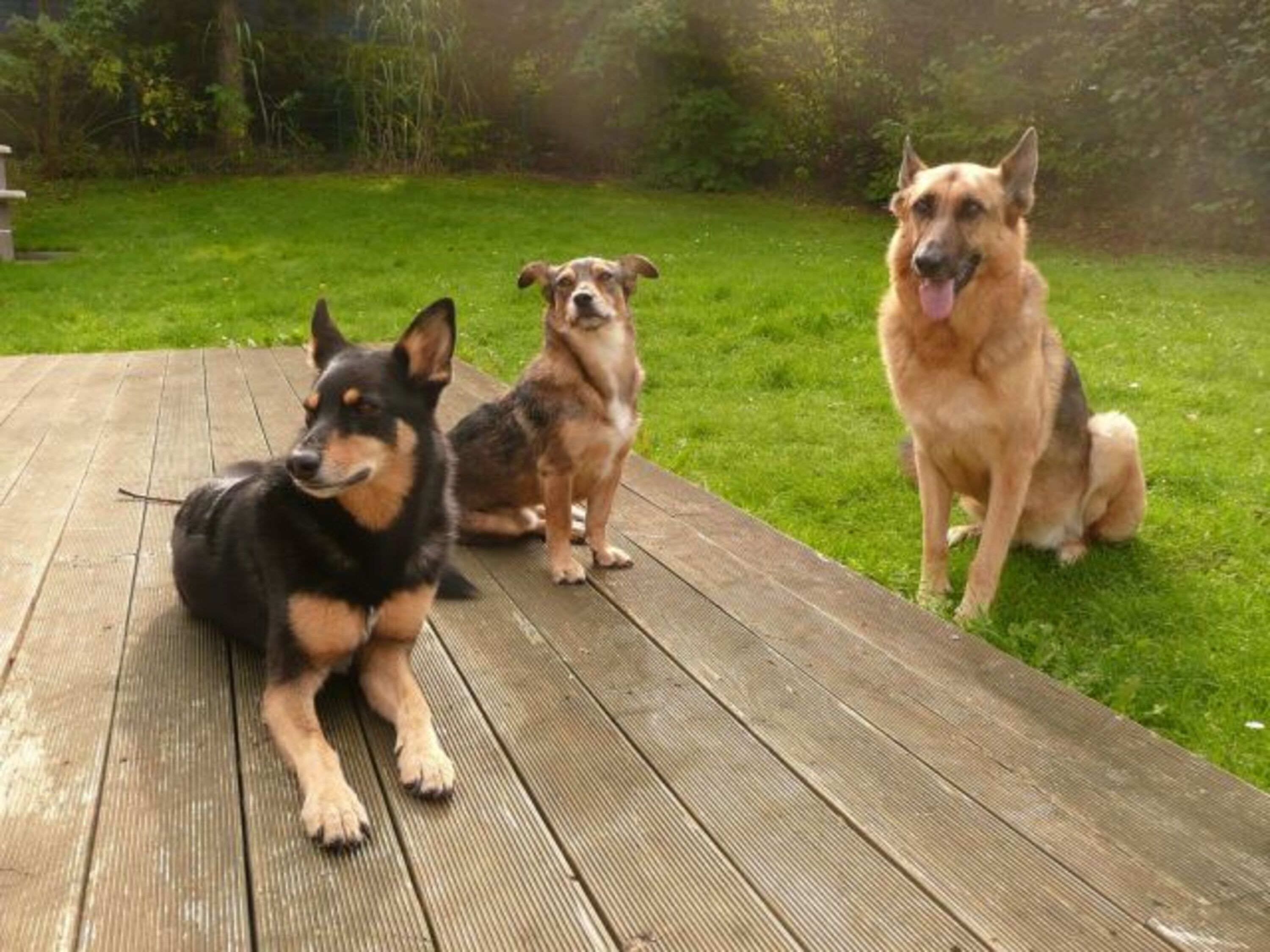 Garten zum toben