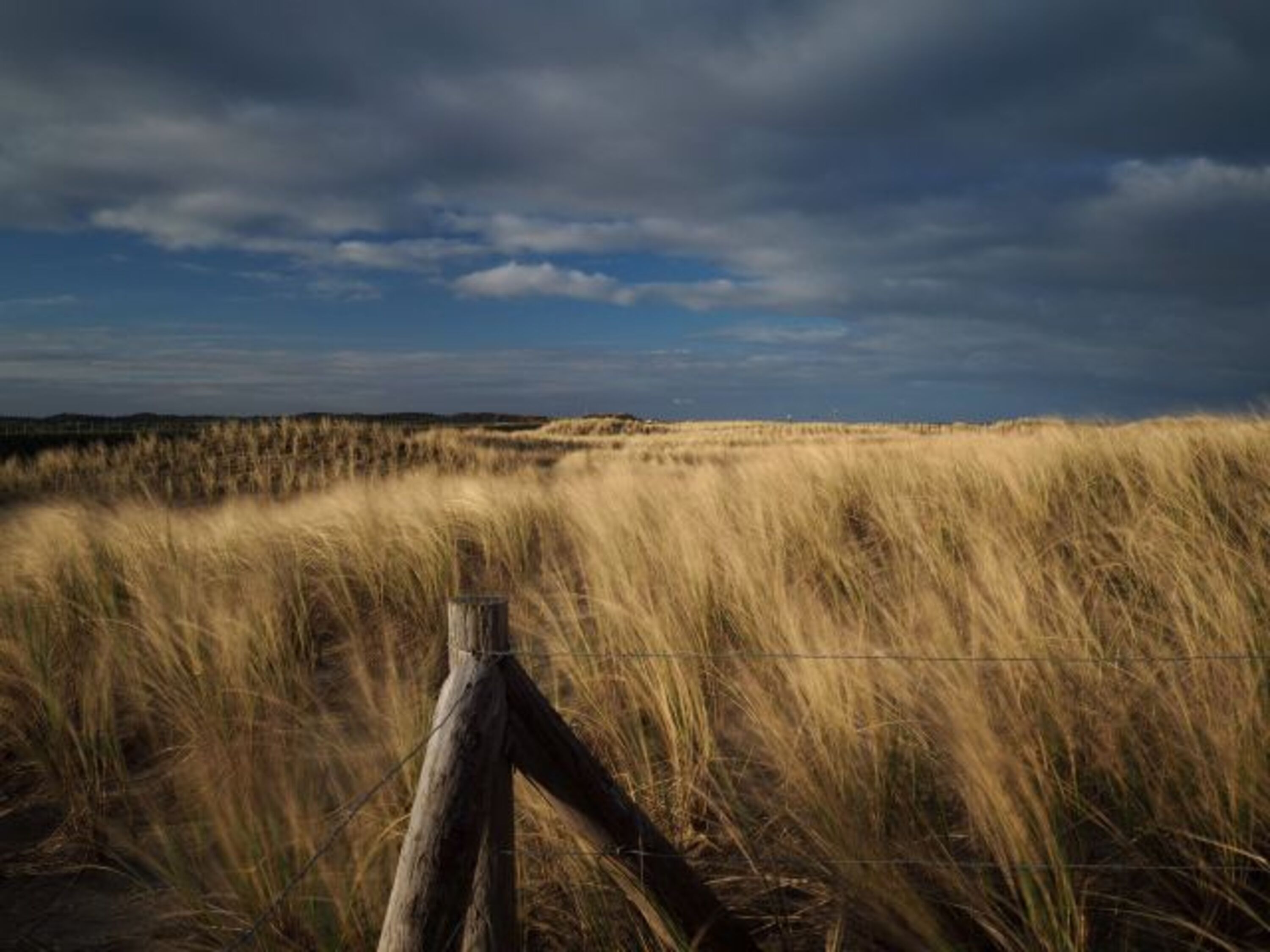 Dünenlandschaft Callantsoog