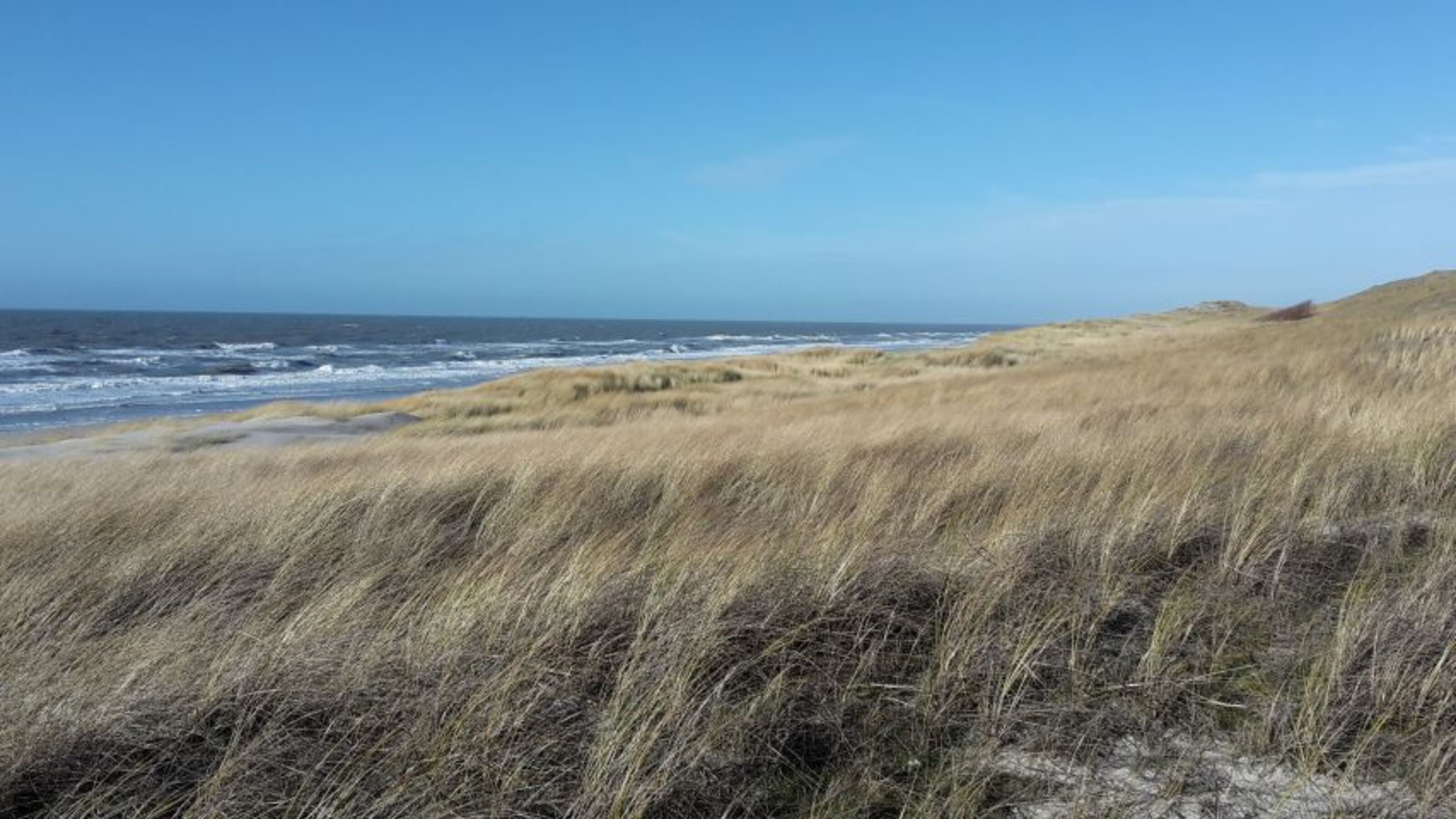Dünen / Meer Callantsoog