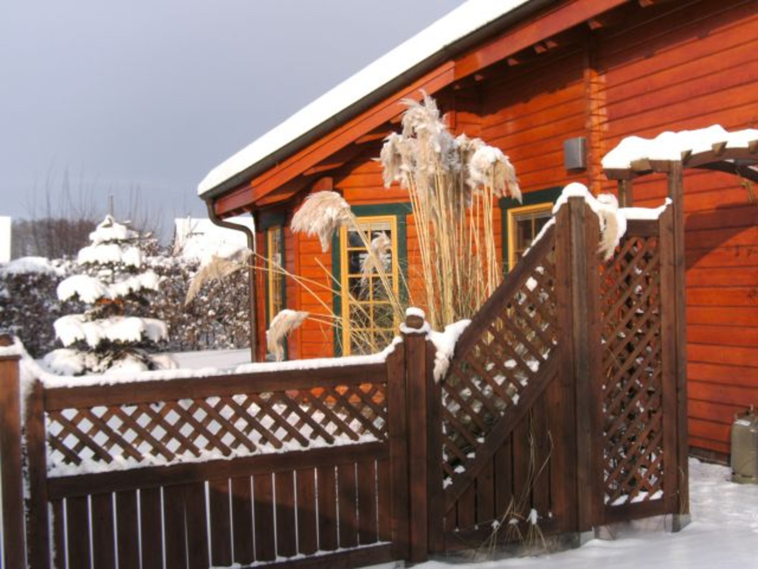 Winter 2011