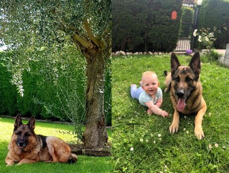 Jahresmaskottchen 2019 sind SAM  und REX  ! Bravo !!