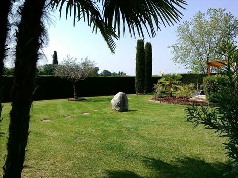 Die Palme bietet eine ruhige Zone im Schatten...