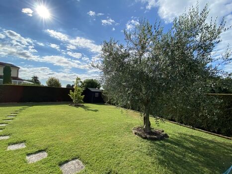 Bilddetail vom privaten Garten