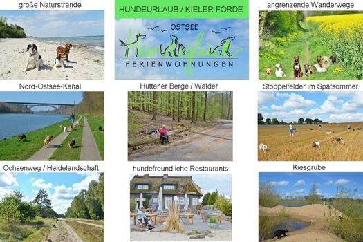 Abwechslungsreicher Hundeurlaub im Hundeglück, es liegen viele (Insider-) Ausflugsziele aus.