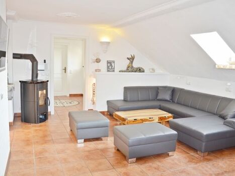 Pflegeleichtes Ledersofa, Kaminofen, Holz wird gestellt, keine Teppiche