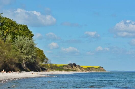 Strandabschnitte mit kurzem Fußweg für kranke und alte Hunde