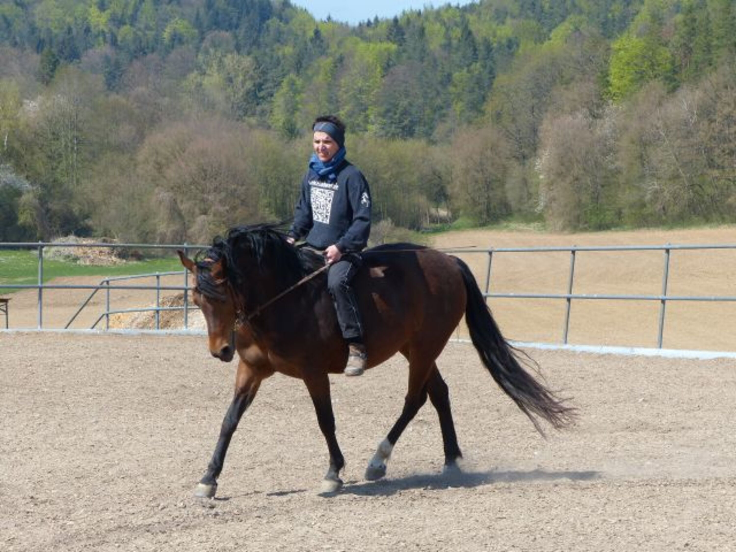 Bild 12