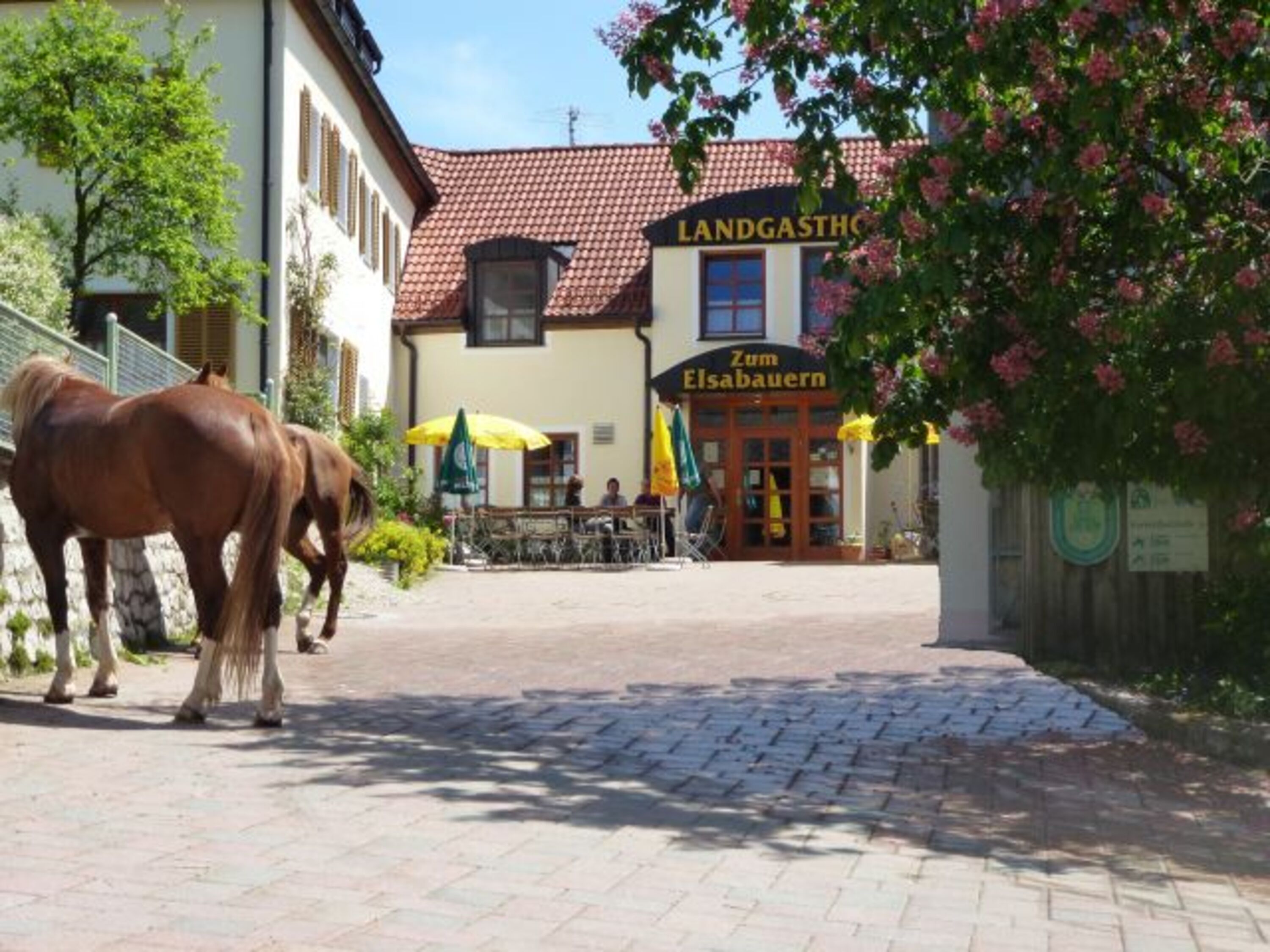 Bild 2