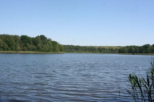 Oderiner See