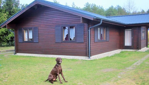 Sicht vom Garten auf das Haus
