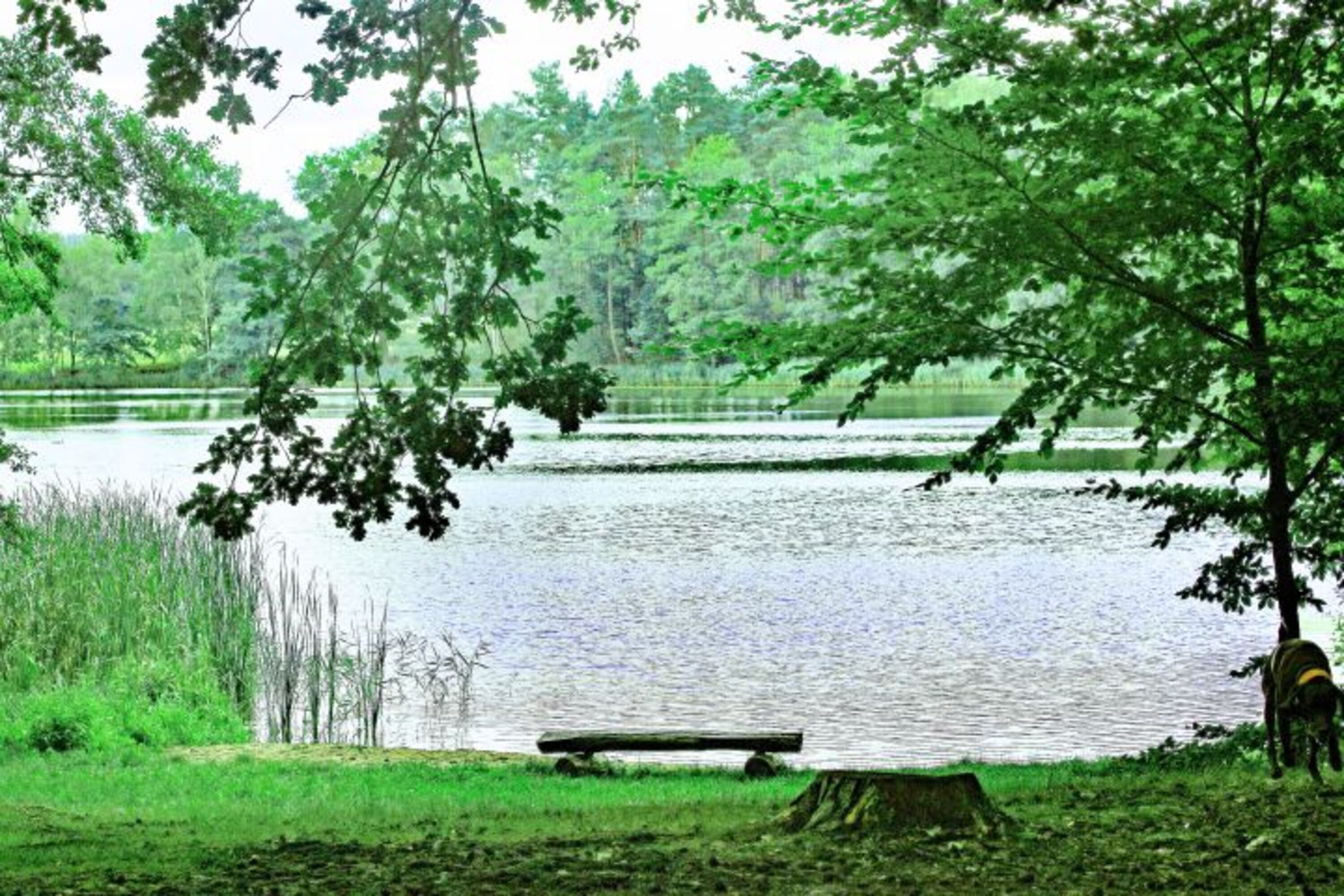 Schäfersee
