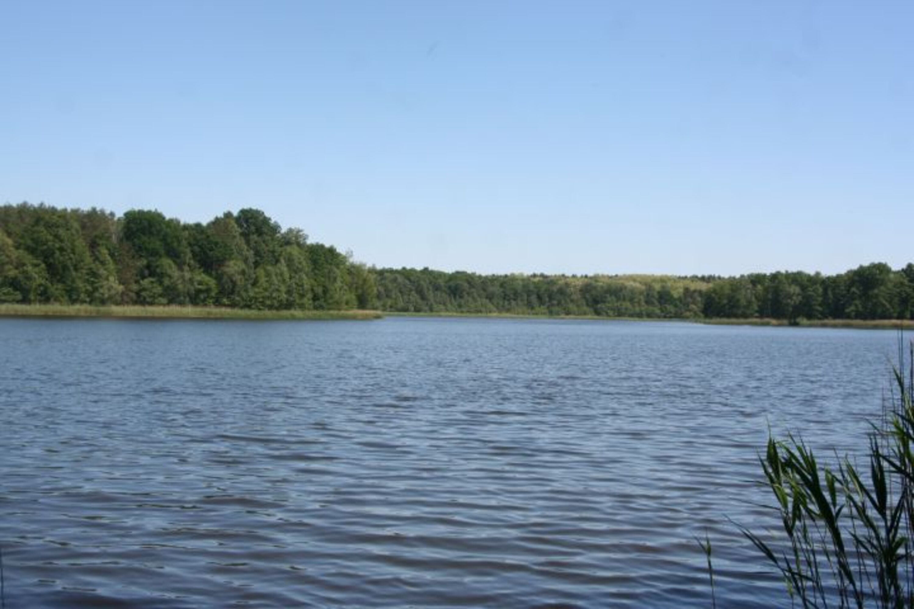Oderiner See