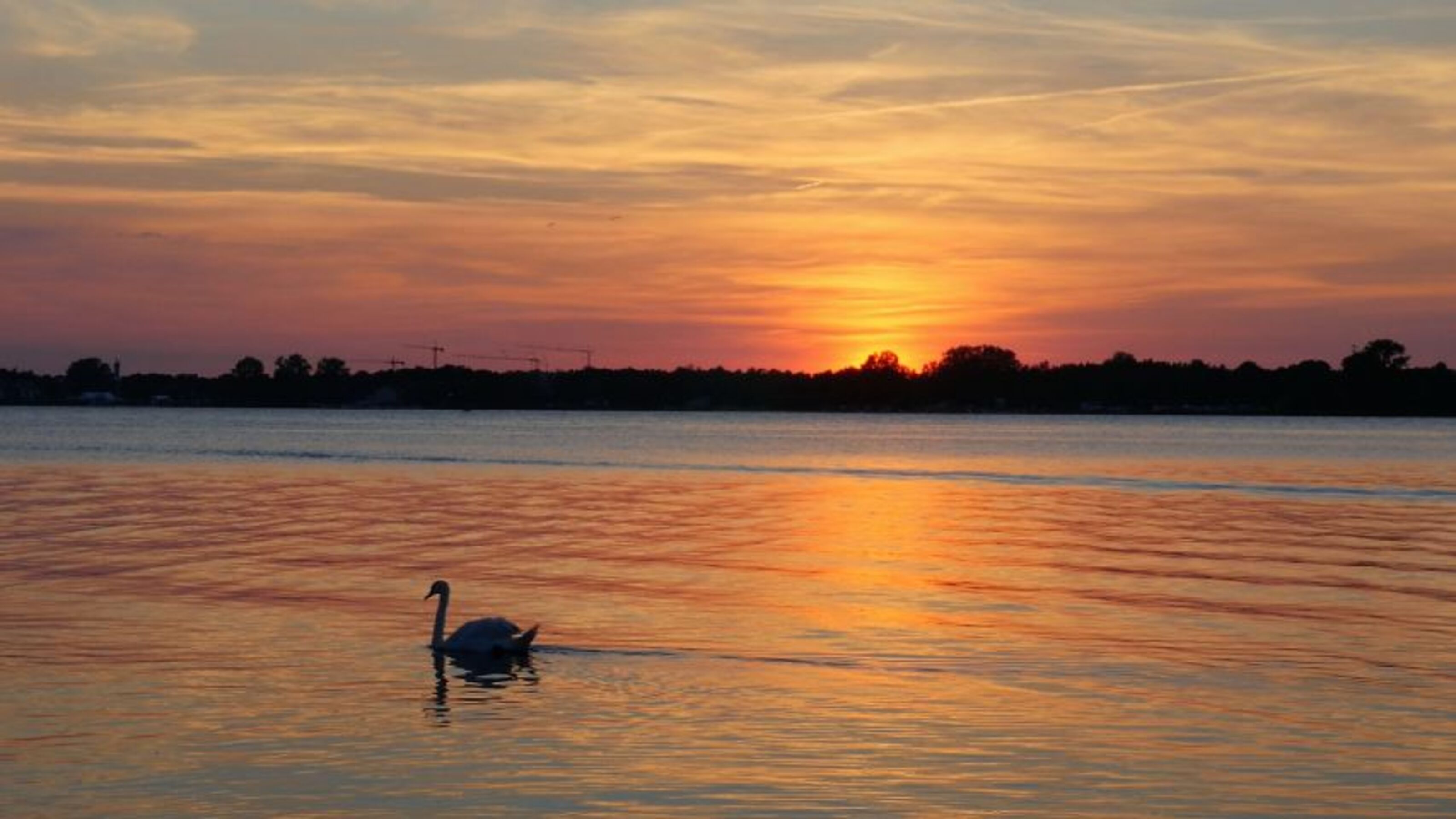 Der Sonnenuntergang
