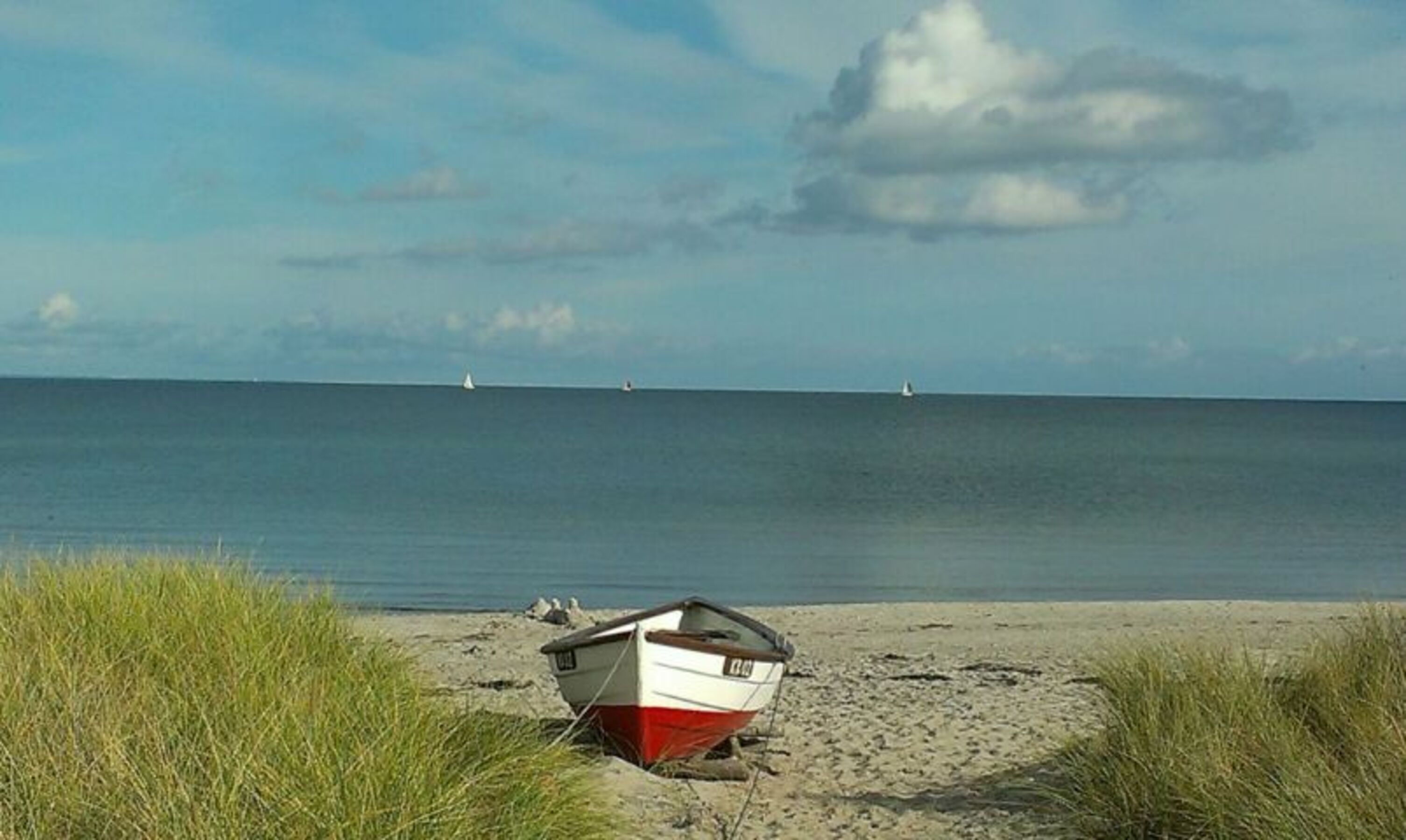Bild 18