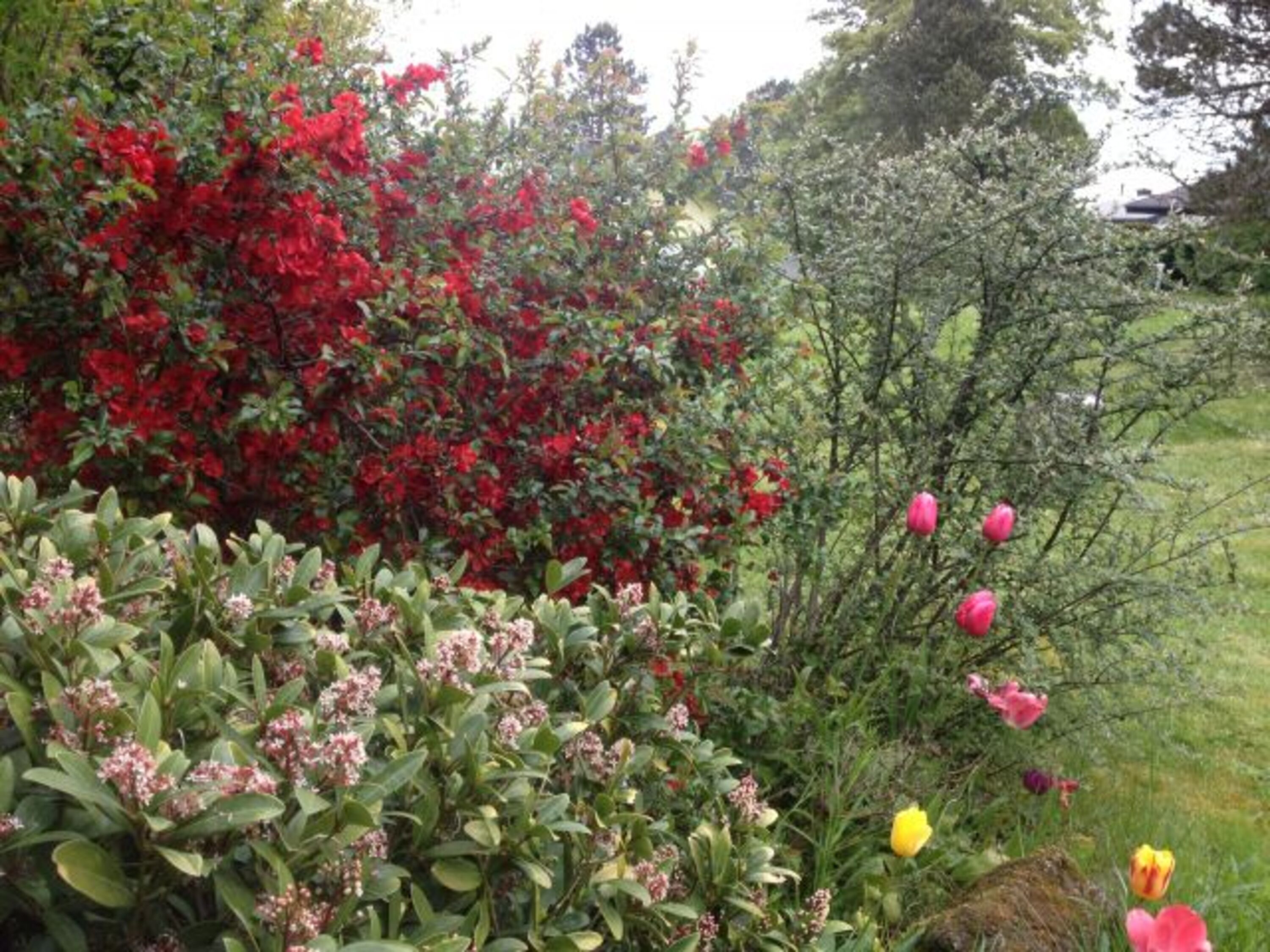 Bild 19