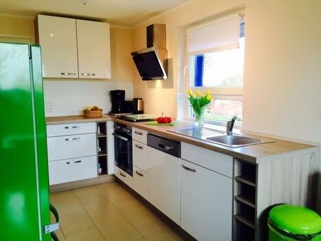 Offene Hochglanz-Küche 